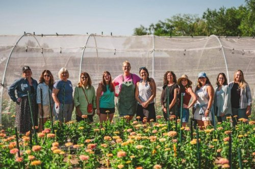 Zinnia Breeding Workshop Monday &amp; Tuesday, July 21 &amp; 22 2025