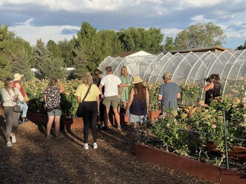 Guided Farm Tour and Mini Brunch
